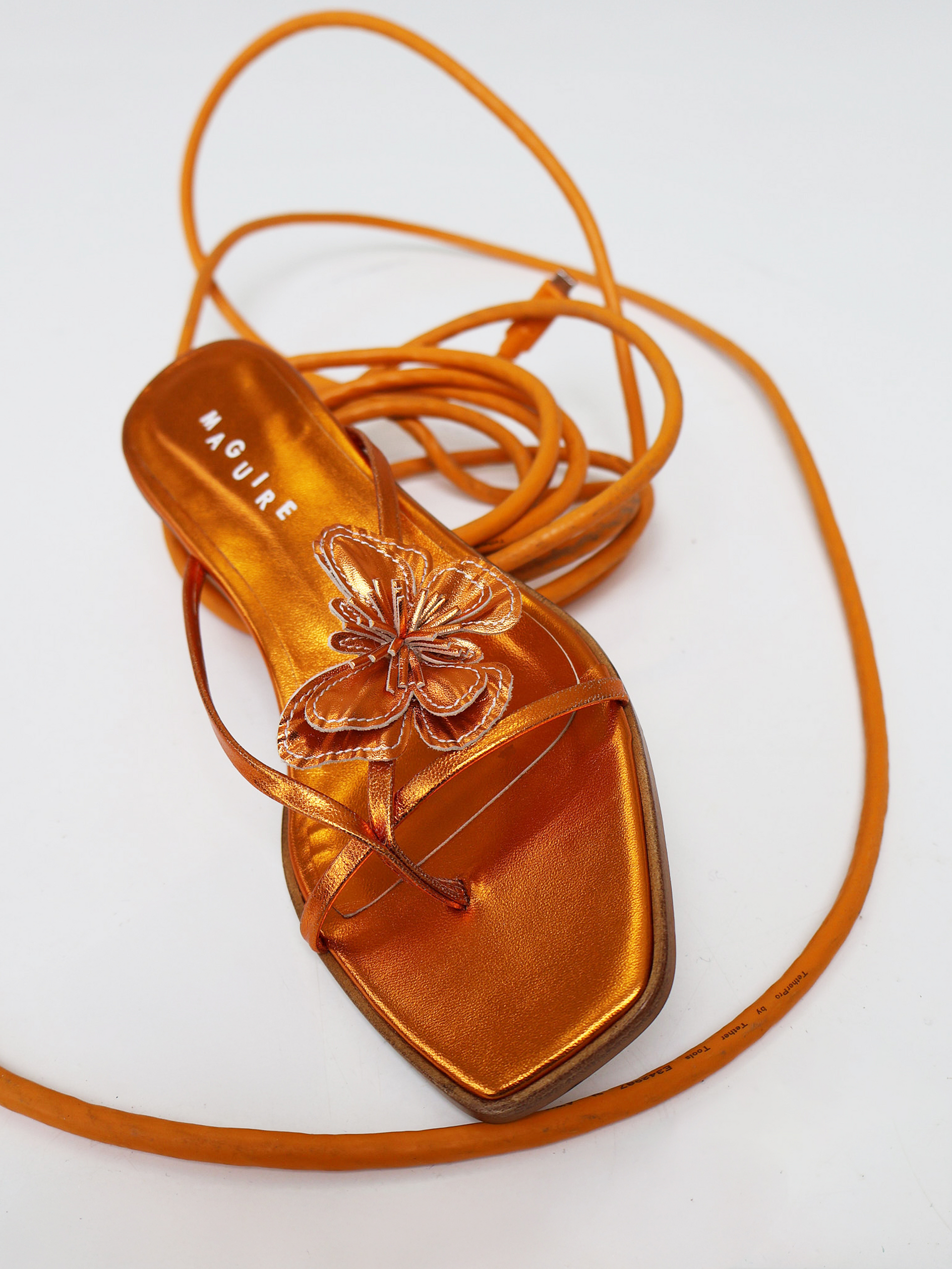 Pince Papillon Orange